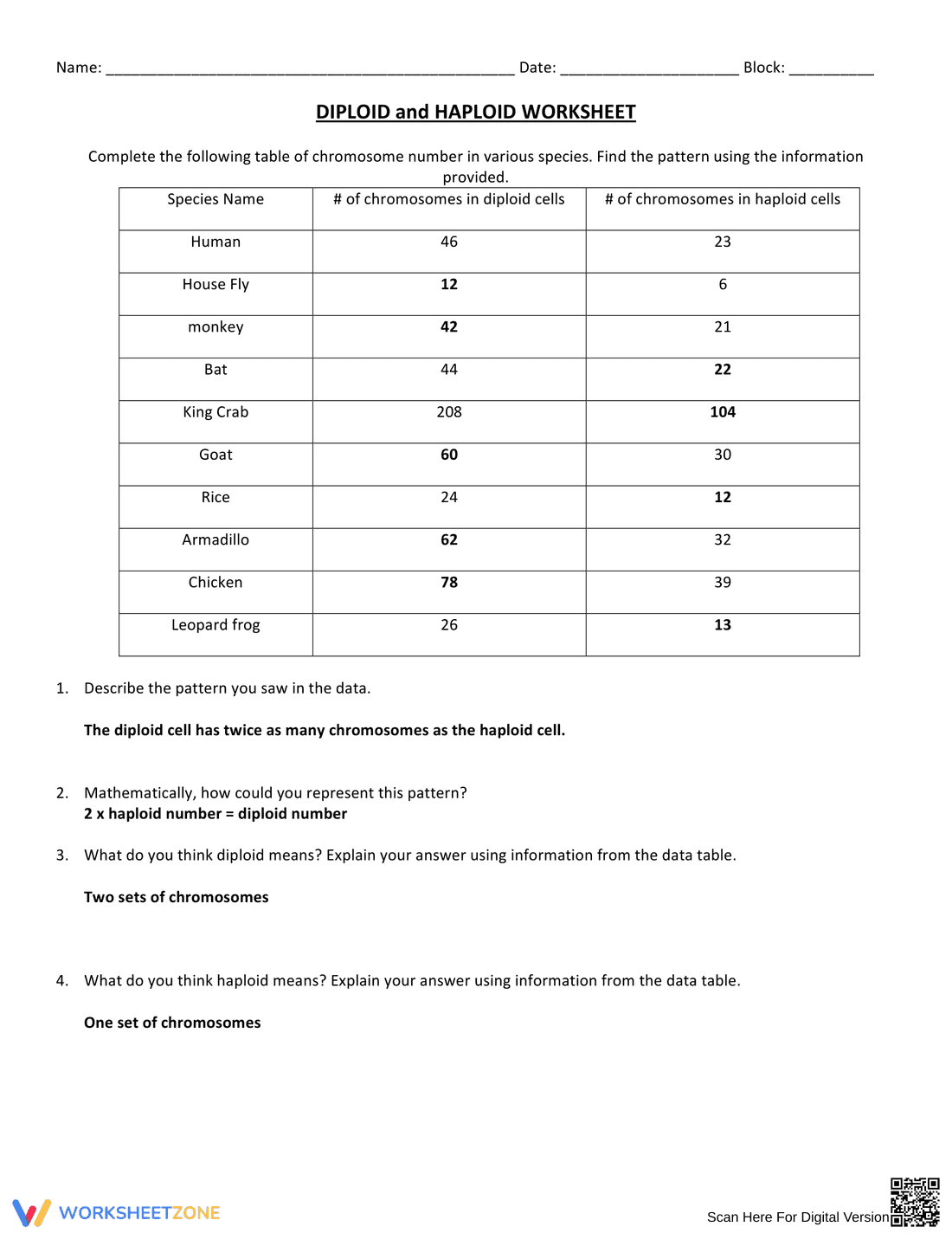 Haploid and Diploid Worksheet | Grade 9-12 Essential - Page 1