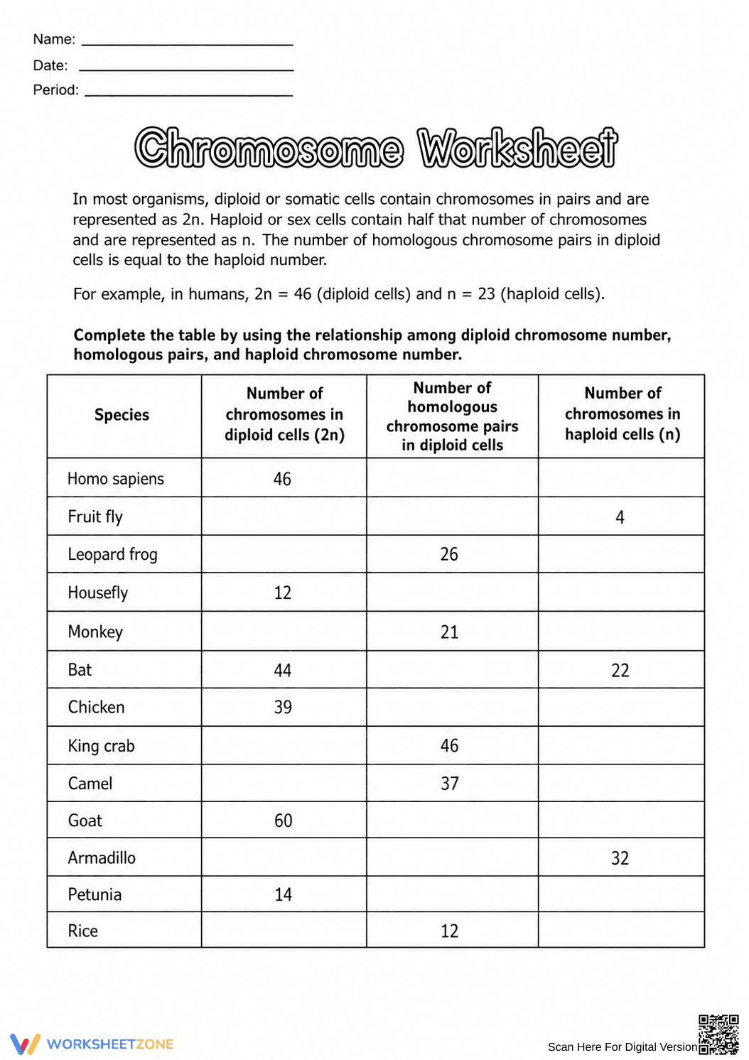 Essential Chromosome Worksheet | Grade 9-12 Biology - Page 1