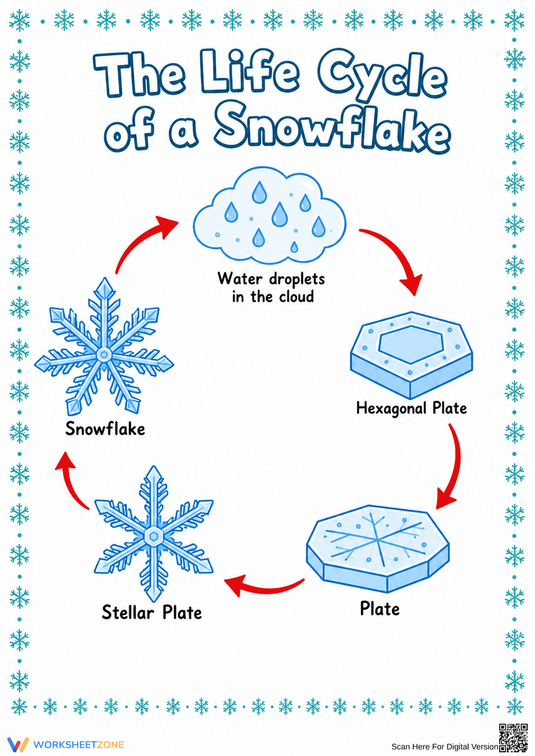 Snowflake Life Cycle Diagram | Grade 3 Essential - Page 1