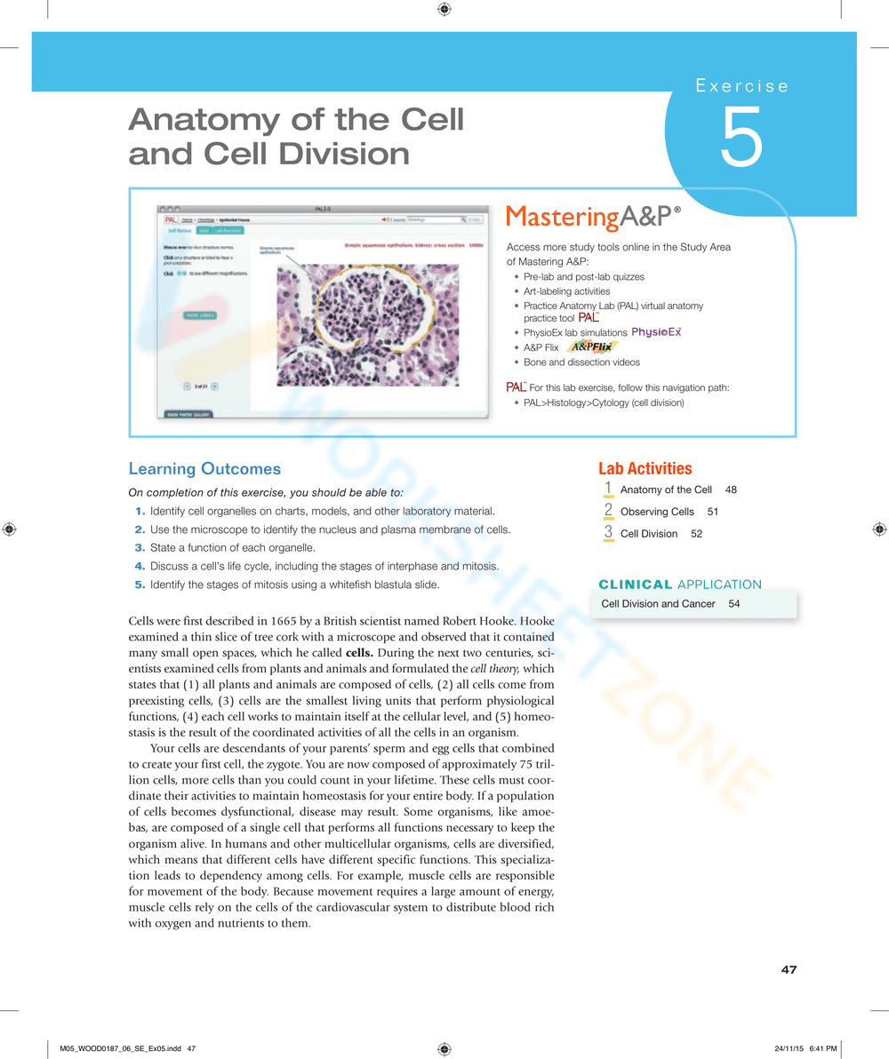 Anatomy of the Cell and Cell Division: Study Guide - Page 1