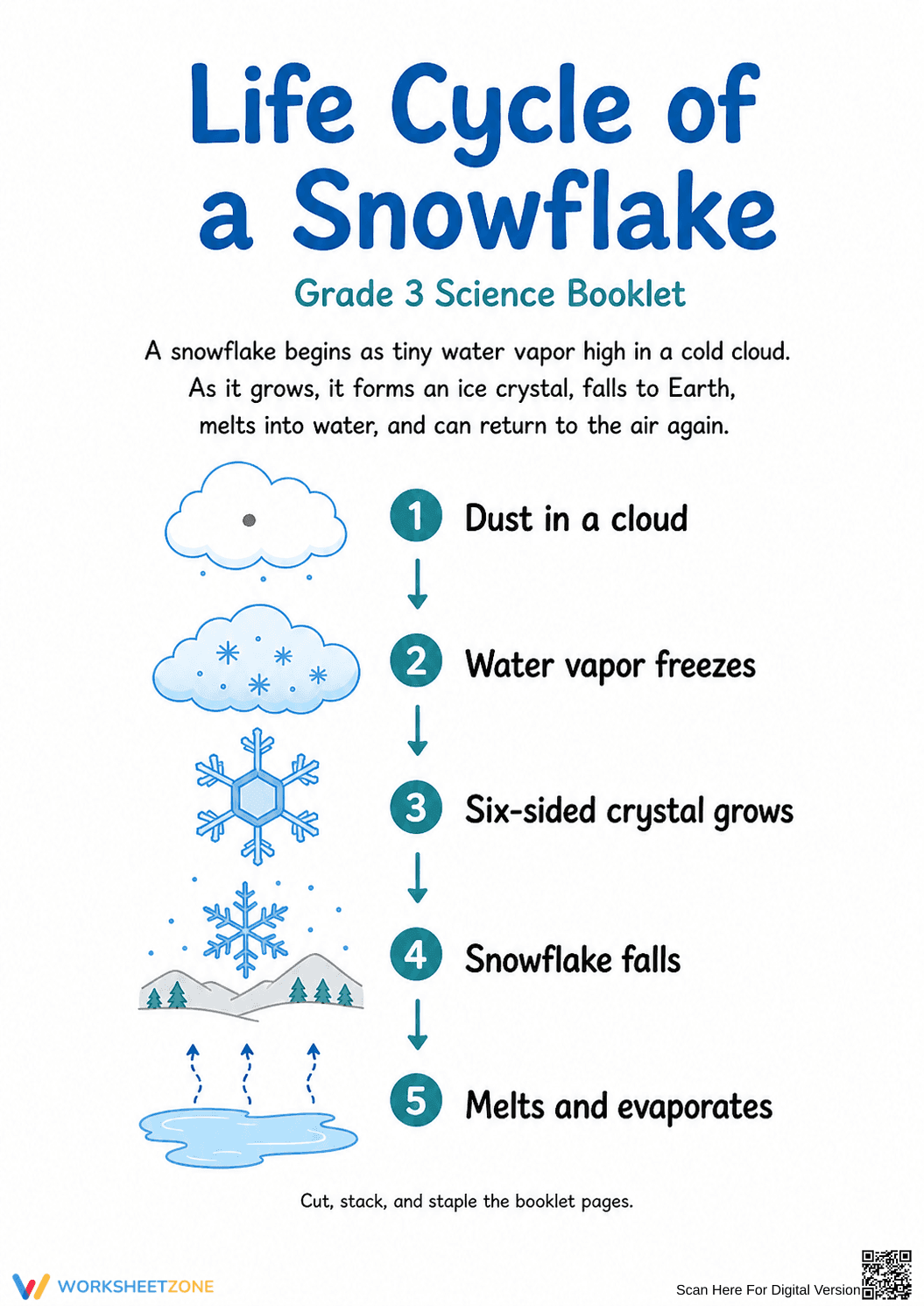 Grade 3 Snowflake Life Cycle — Printable No-Prep Booklet - Page 1