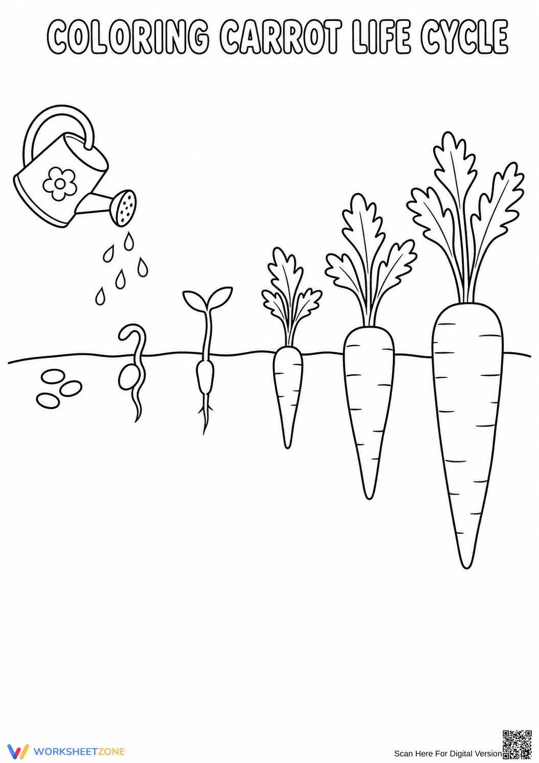 Carrot Life Cycle Worksheet | Grade 2-5 Essential - Page 1