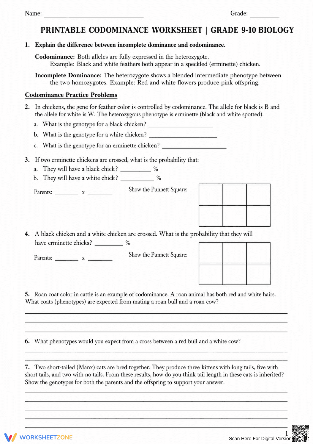 Printable Codominance Worksheet | Grade 9-10 Biology - Page 1