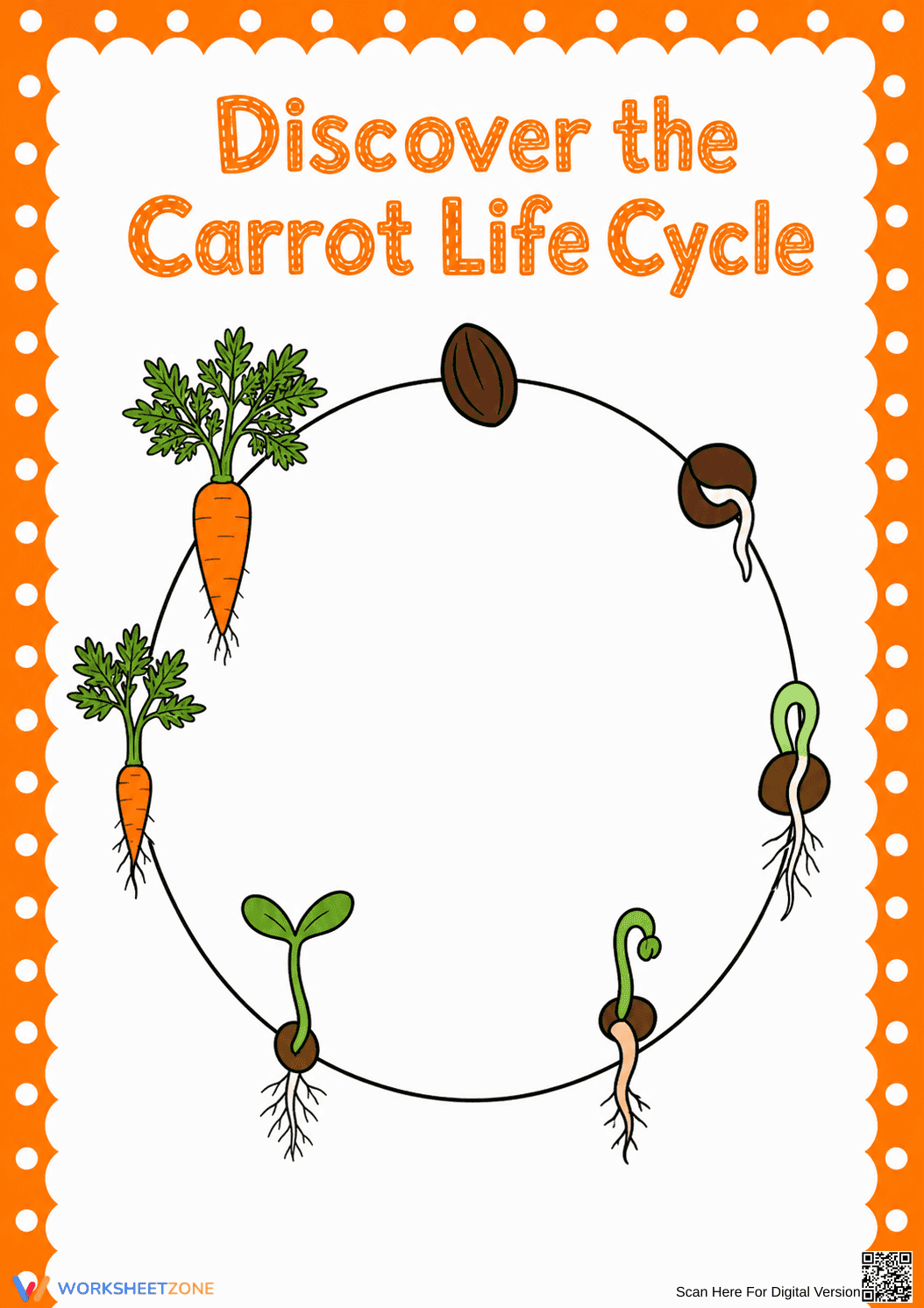 Printable Carrot Life Cycle Worksheet | Grade 3 Science - Page 1