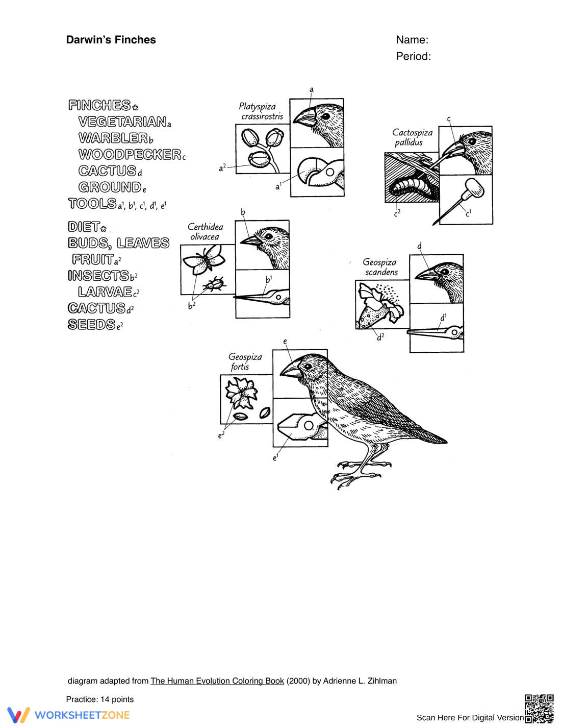 Studying Darwin's Finches - Page 1