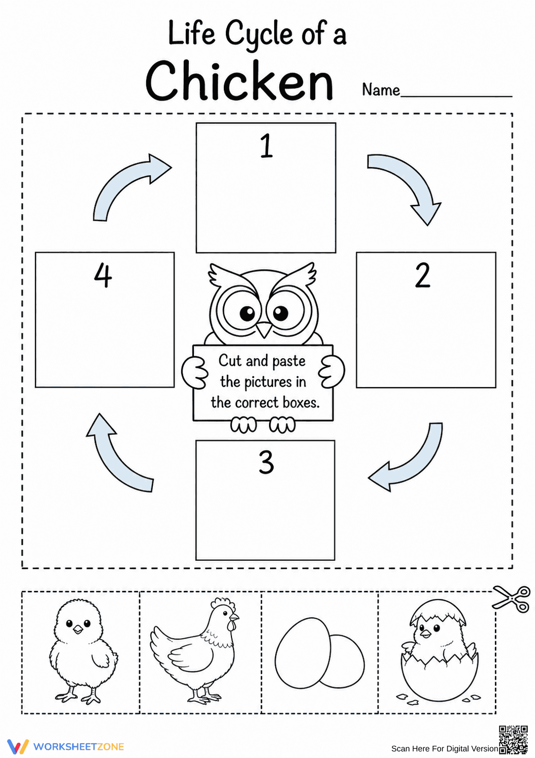 Grade 3 Chicken Life Cycle — Printable No-Prep Worksheet - Page 1