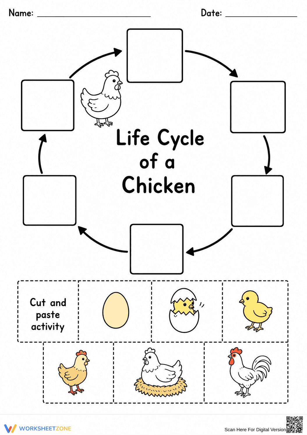 Grade 3 Chicken Life Cycle — Printable No-Prep Worksheet - Page 1