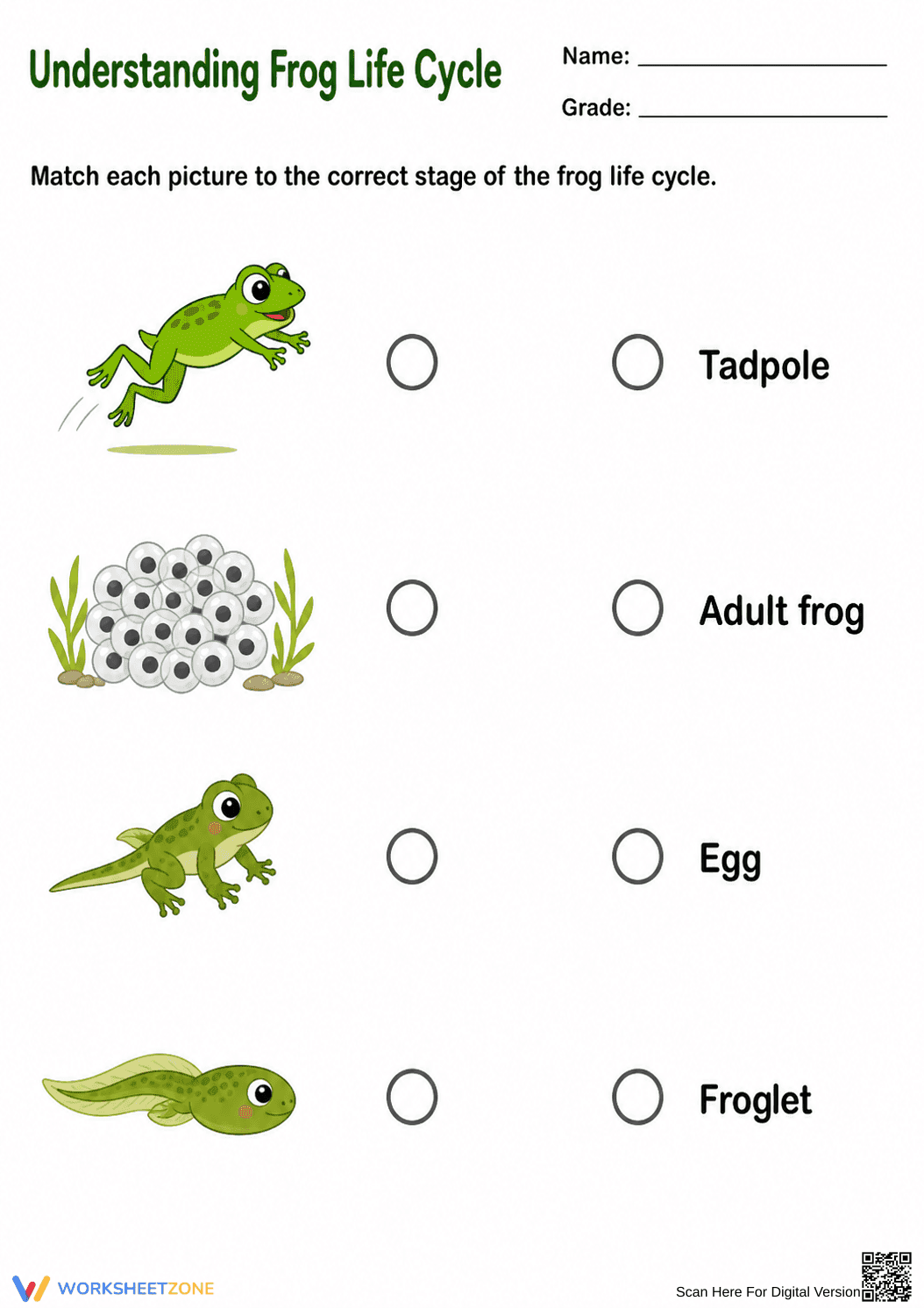 Frog Life Cycle Worksheet | Grade 2 Printable - Page 1
