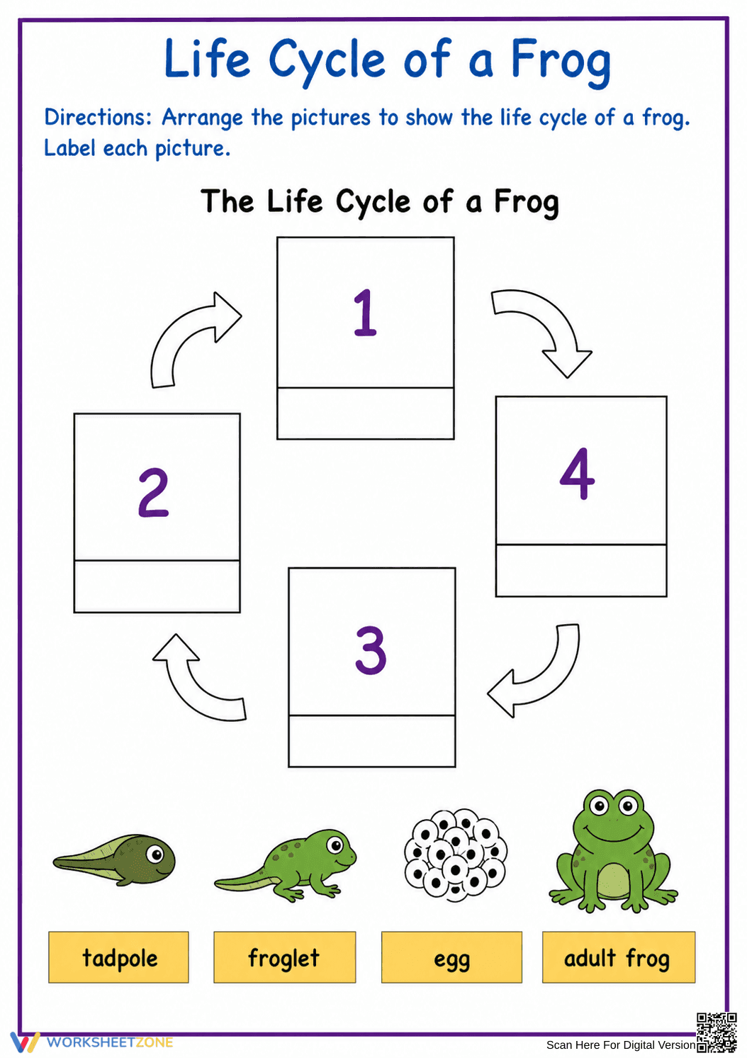 Frog Life Cycle Worksheet | Grade 3 Printable - Page 1