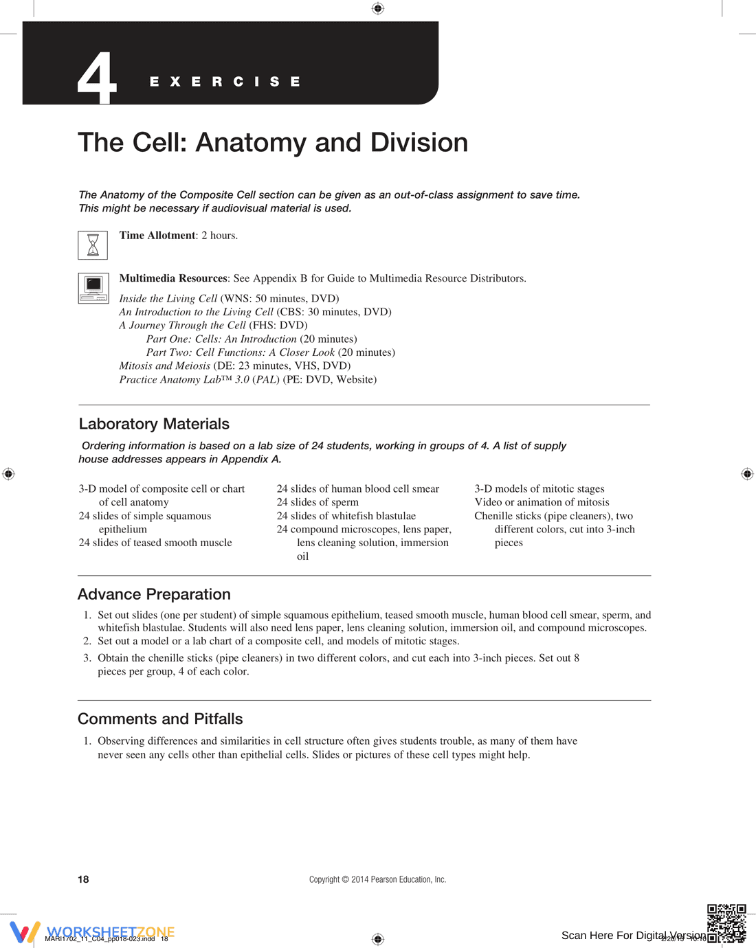 The Cell: Anatomy and Division Worksheet - Page 1