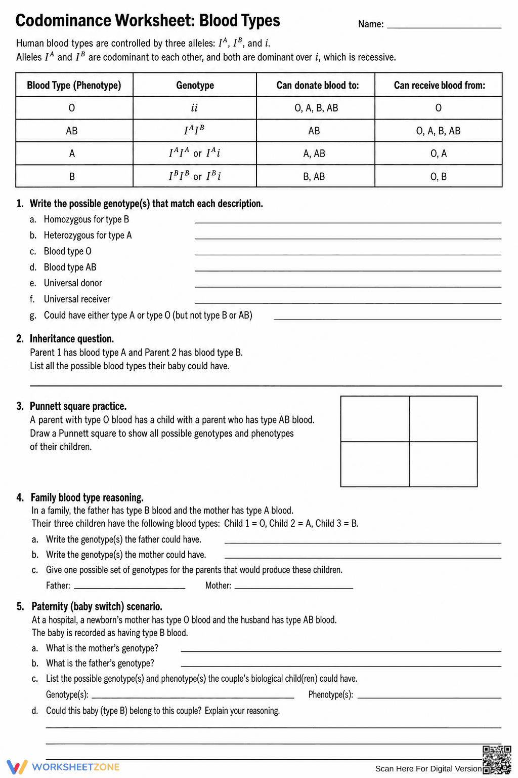 Essential Codominance Worksheet | Grade 9-10 Biology - Page 1