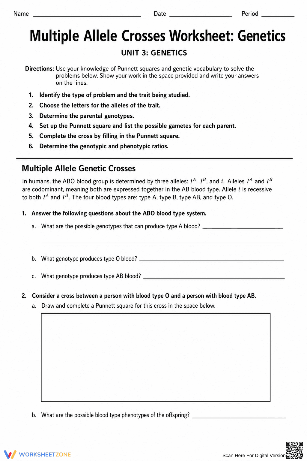 Multiple Allele Crosses Worksheet | Essential Biology - Page 1