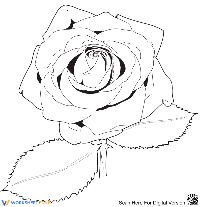 The Rose Coloring Page - Page 1