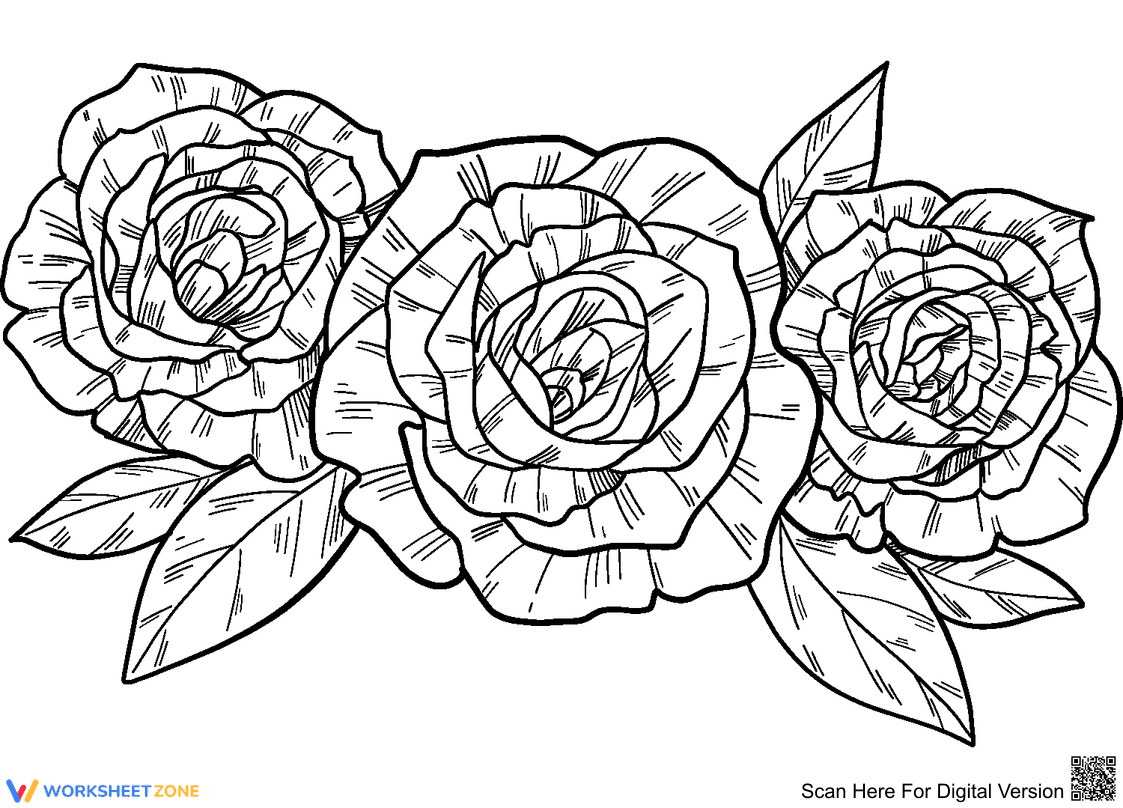 Explore the Beauty of Roses - Page 1