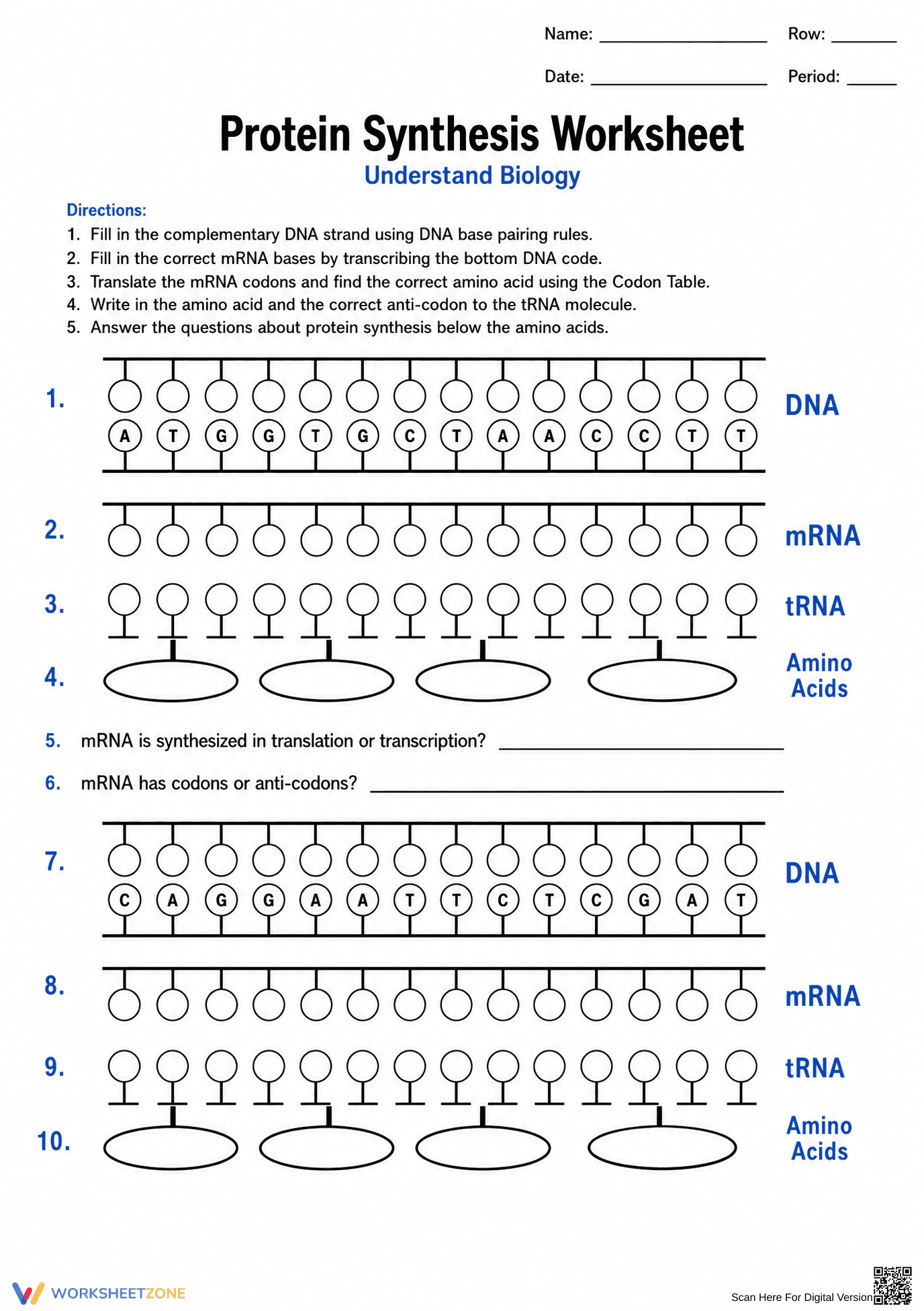 Protein Synthesis Worksheet | Essential Grade 10-12 Biology - Page 1