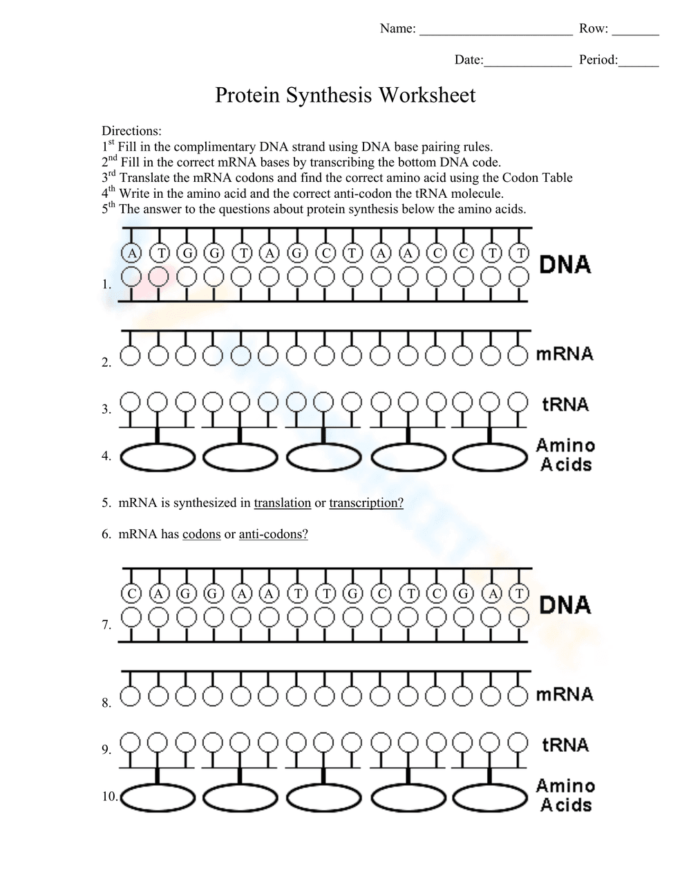 Protein Synthesis Worksheet: Understand Biology - Page 1