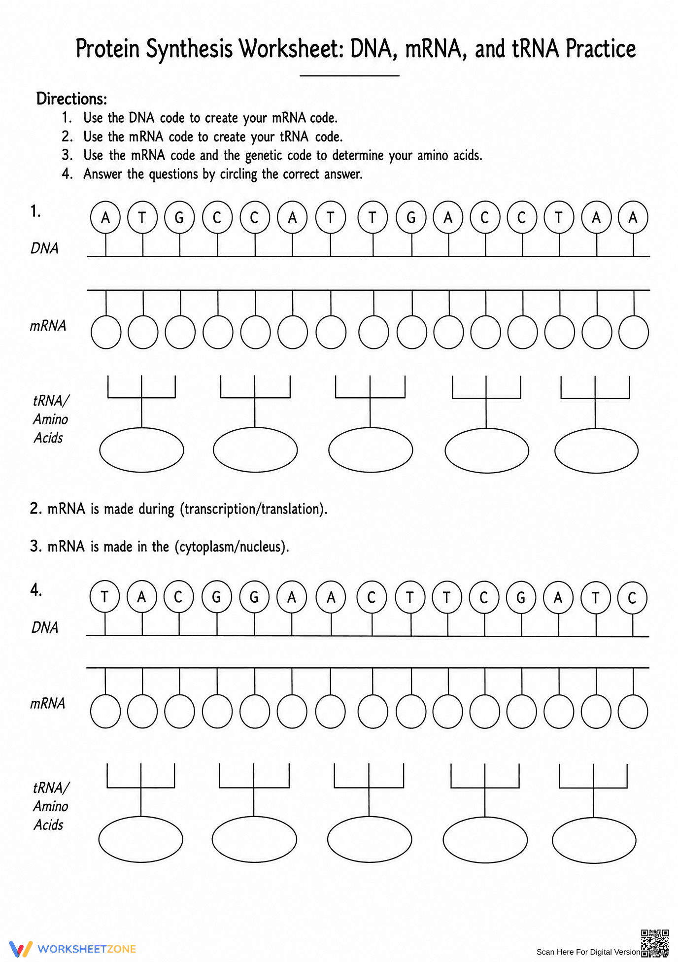 Printable Protein Synthesis Worksheet | Grade 9-12 Biology - Page 1
