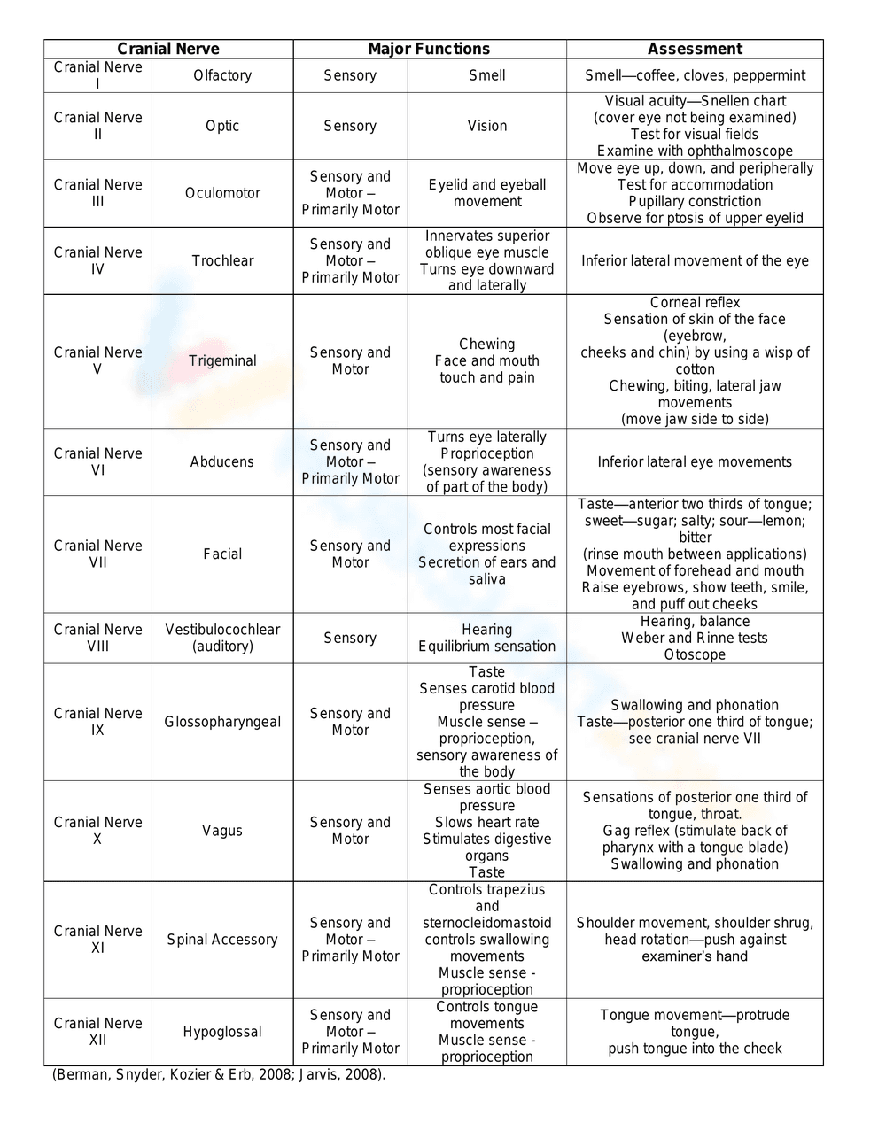 Cranial Nerves Worksheet: Learn Anatomy - Page 1