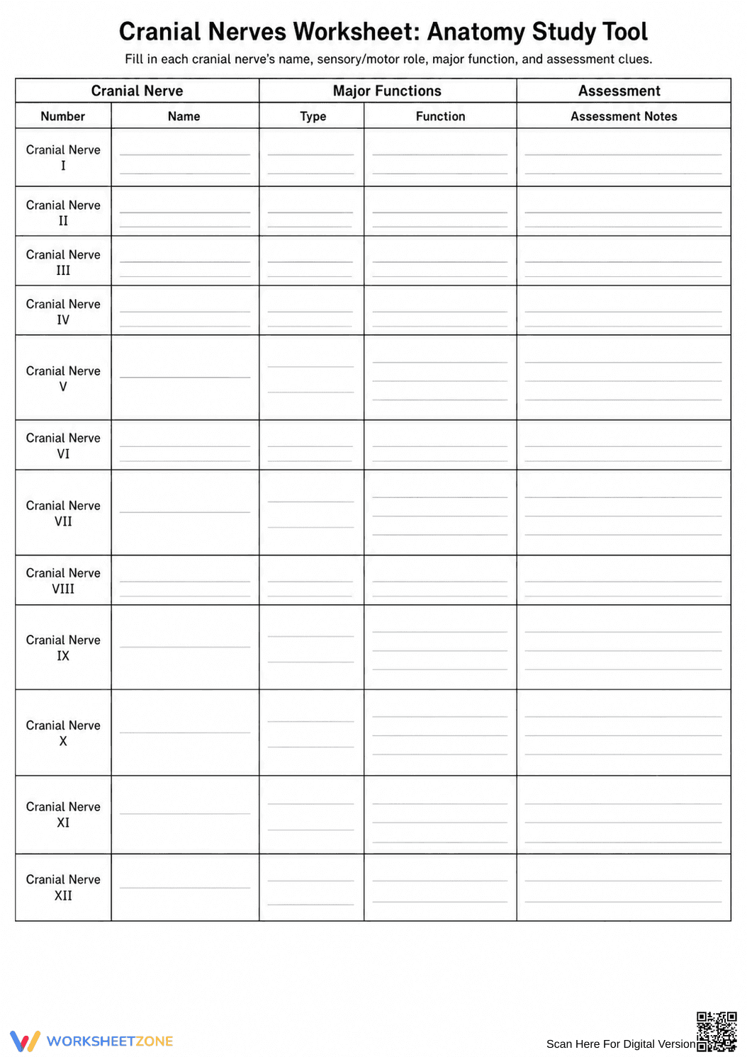 Printable Cranial Nerves Worksheet | Grade 9-11 Biology - Page 1