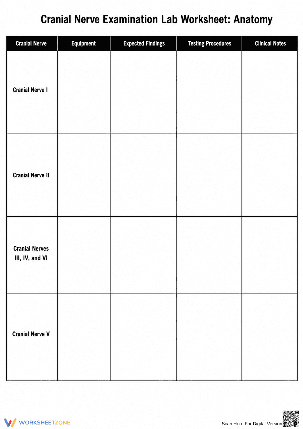 Essential Cranial Nerve Lab Worksheet | Grades 10-12 - Page 1