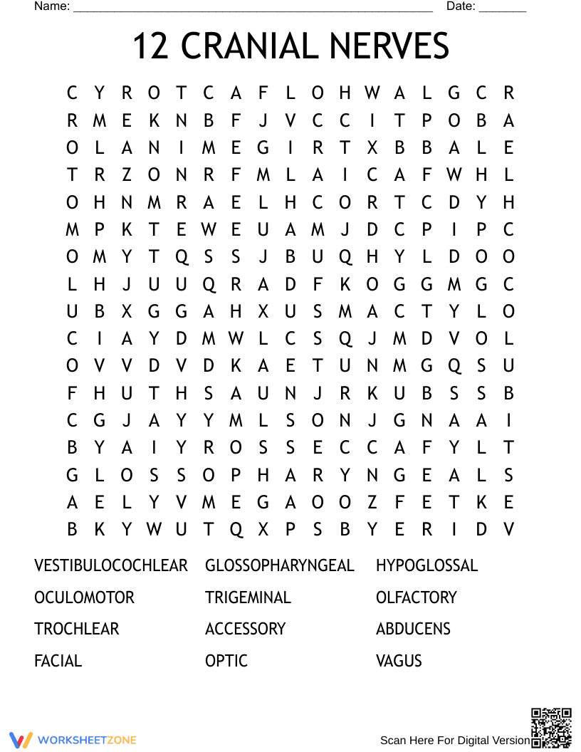 Cranial Nerve Wordsearch: Anatomy Activity - Page 1