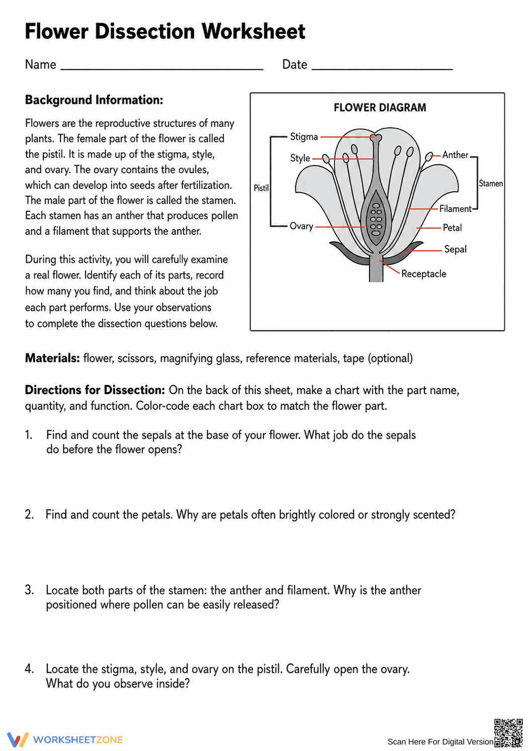 Printable Flower Dissection Worksheet | Grades 9-11 - Page 1