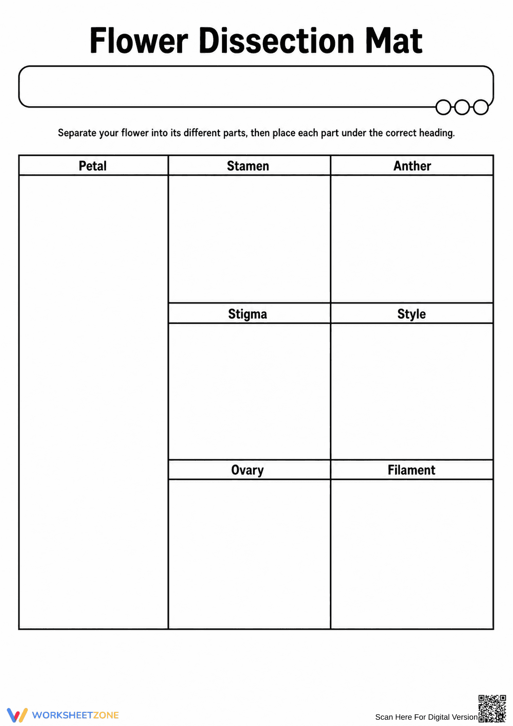 Flower Dissection Mat | Essential Grade 9-11 Biology - Page 1