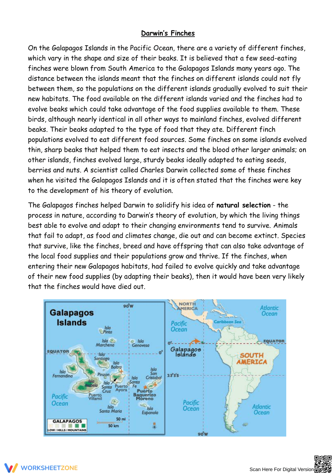 Evolution of Darwin's Finches: Worksheet - Page 1