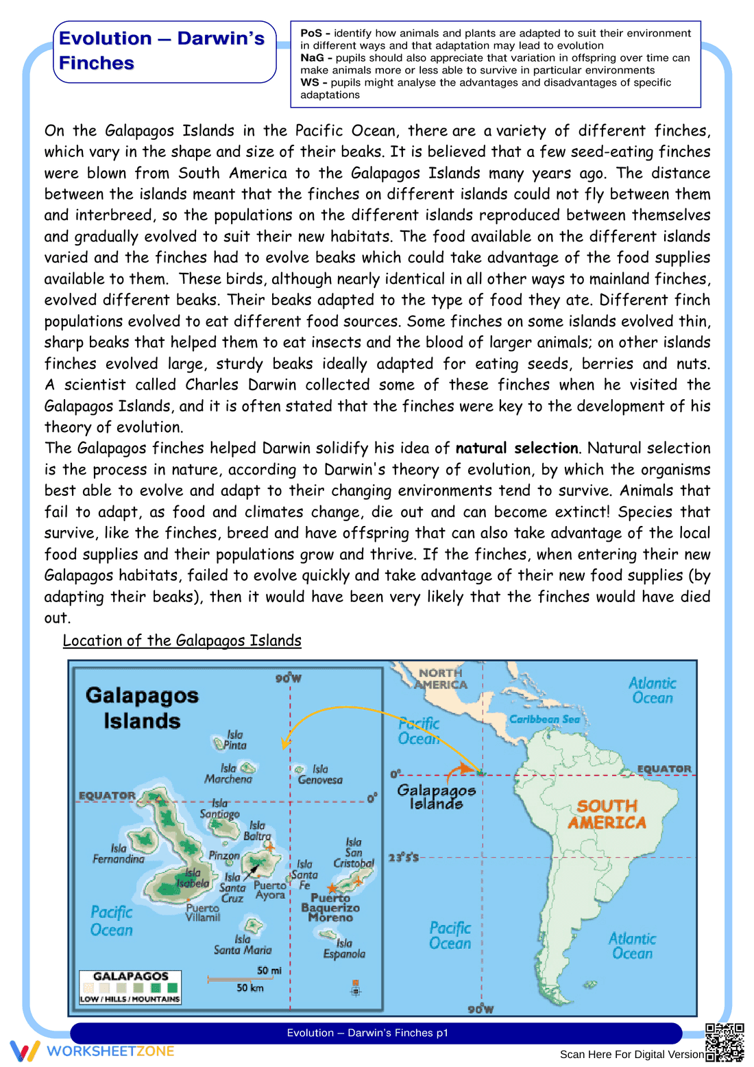 Darwin's Finches Worksheet - Page 1
