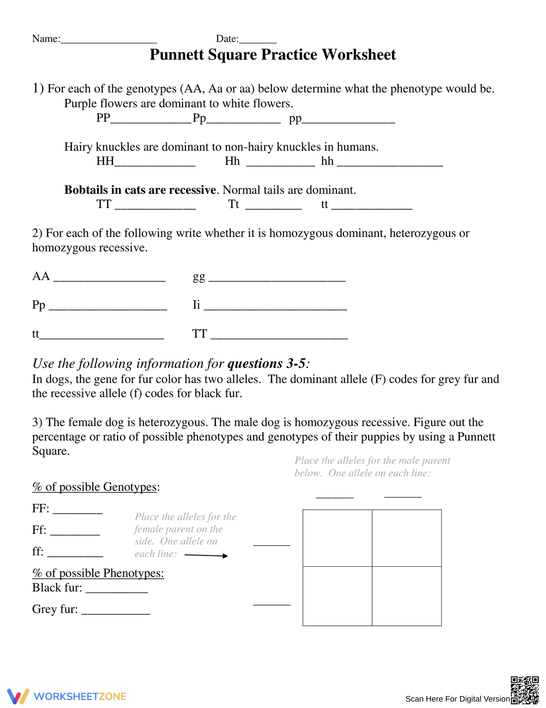 Printable Punnett Square Worksheet | Grade 10 Biology - Page 1