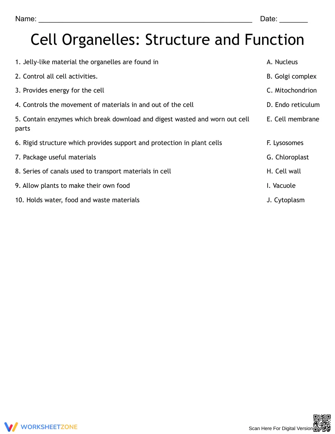 Cell Organelles Structure and Function - Page 1