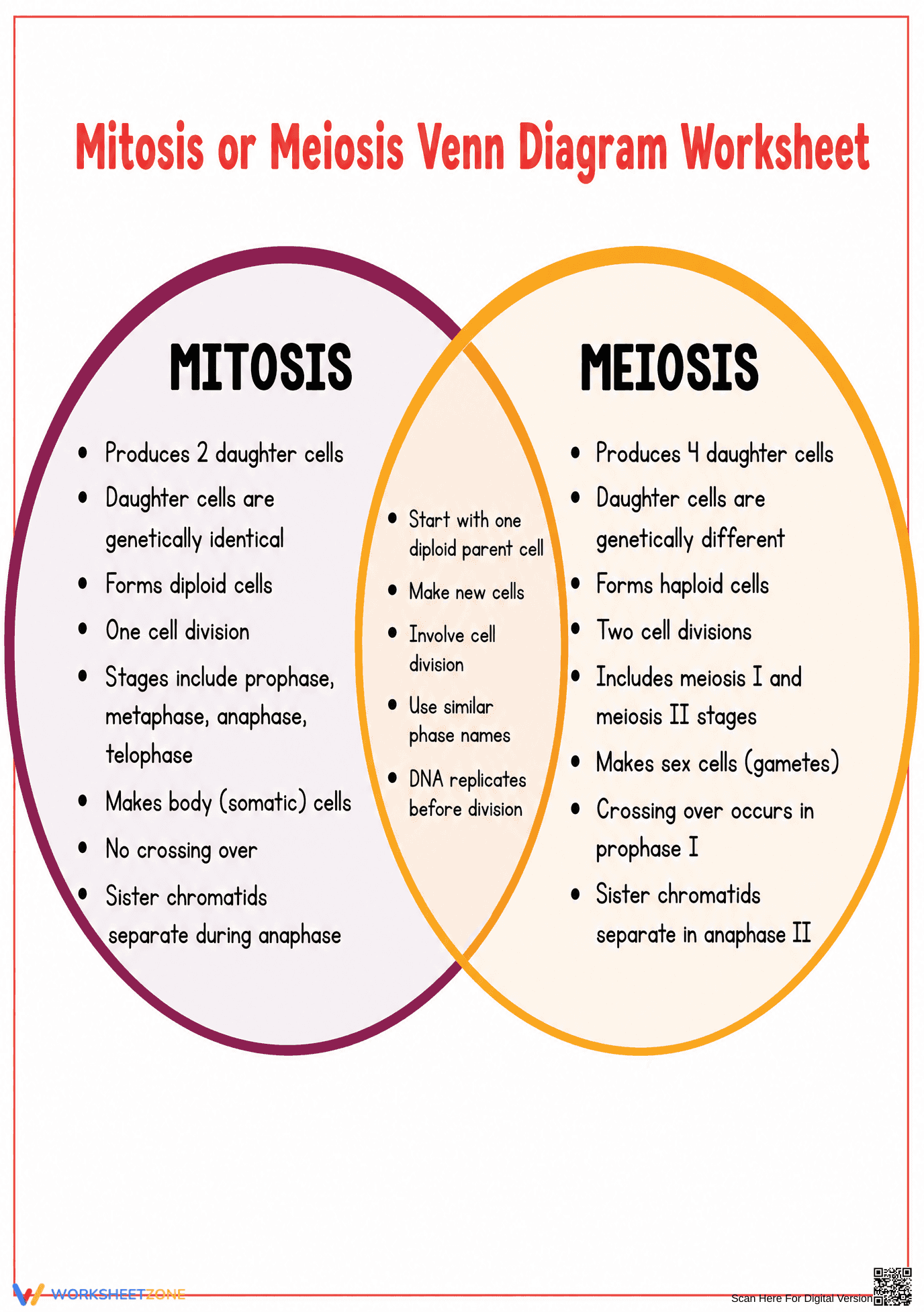 Mitosis vs Meiosis Venn Diagram | Essential Biology Guide - Page 1