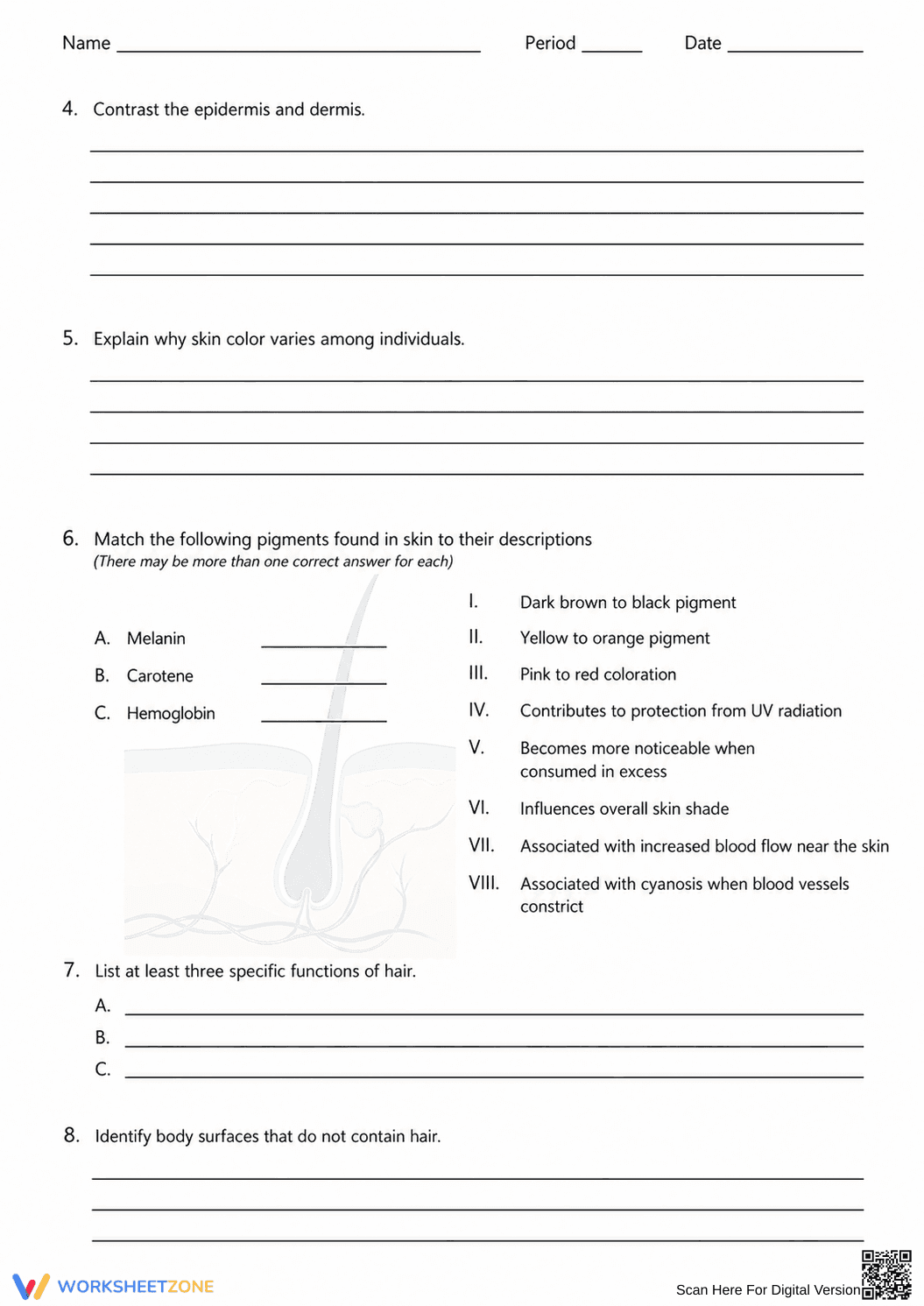 Printable Integumentary System Worksheet | Grade 6 Science - Page 1