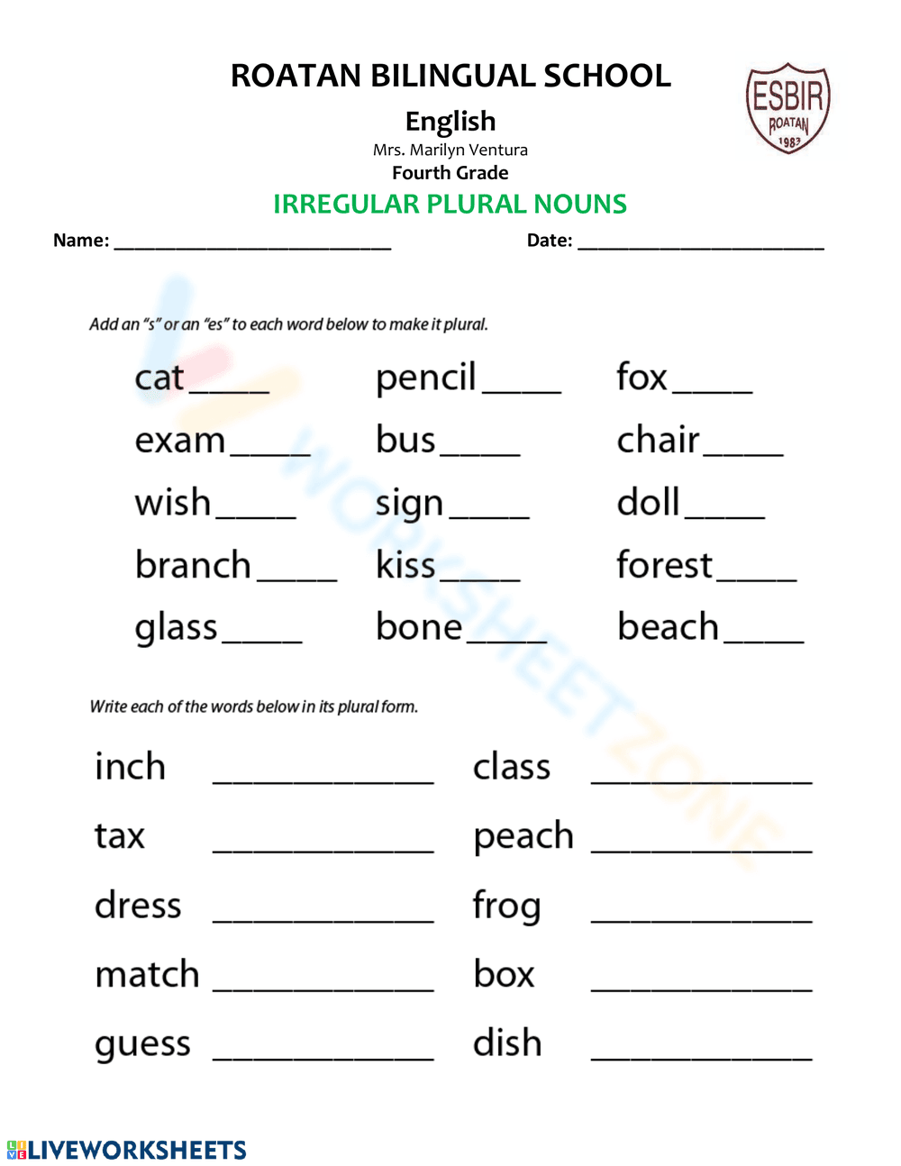 Irregular Plural Nouns Worksheet for 4th Graders - Page 1