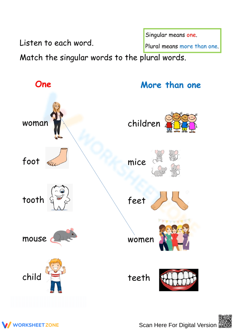 Singular to Plural Word Match - Page 1