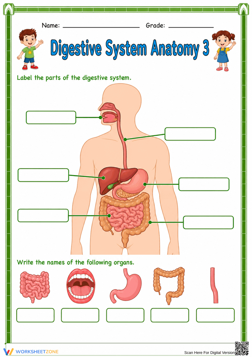 Printable Digestive System Worksheet | Grade 7 Science - Page 1