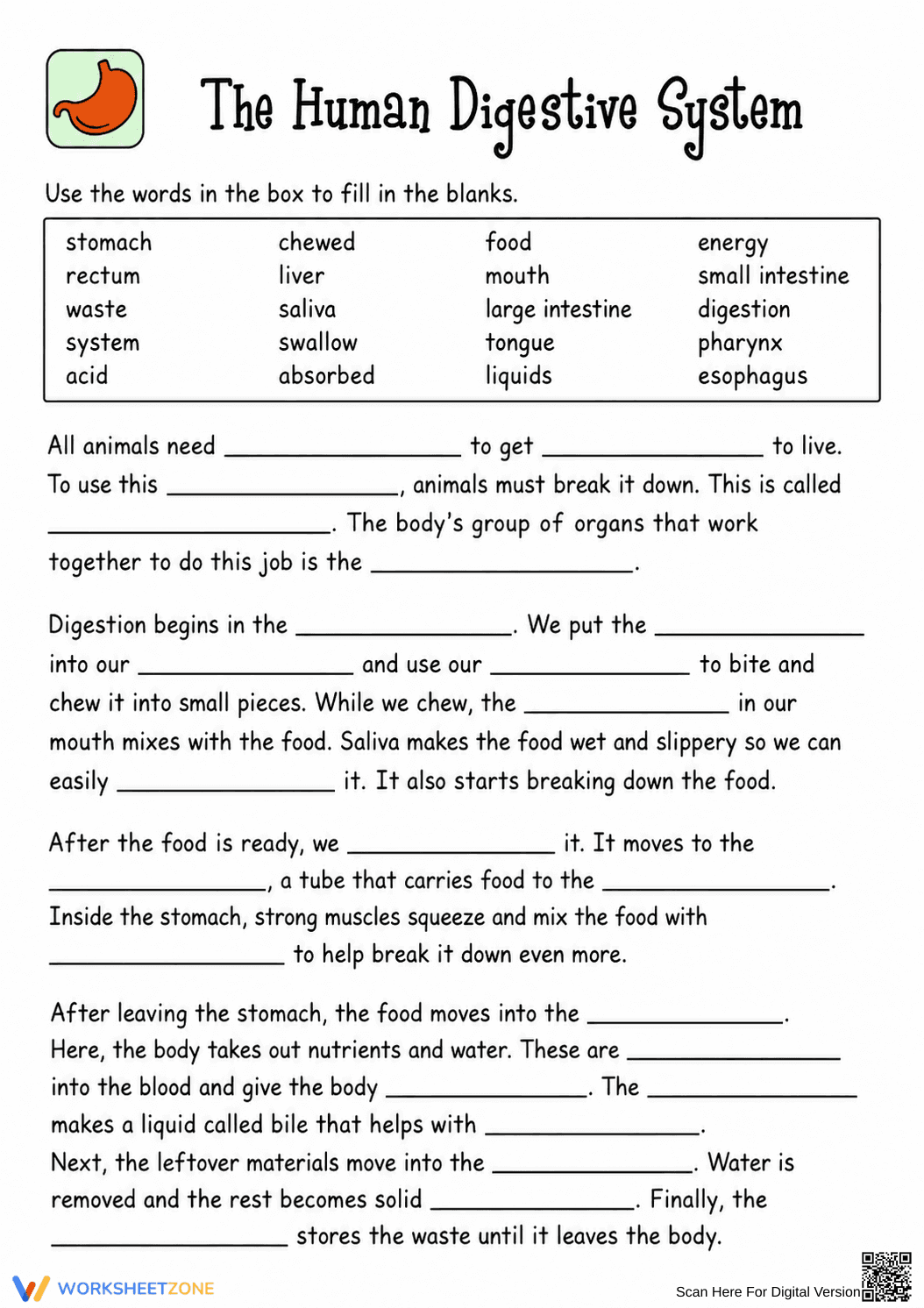 Digestive System Cloze Worksheet | Grade 7 Essential - Page 1