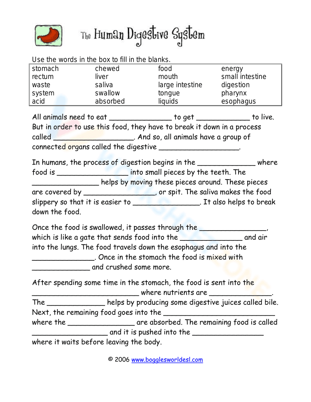 Digestive System Cloze Worksheet - Page 1