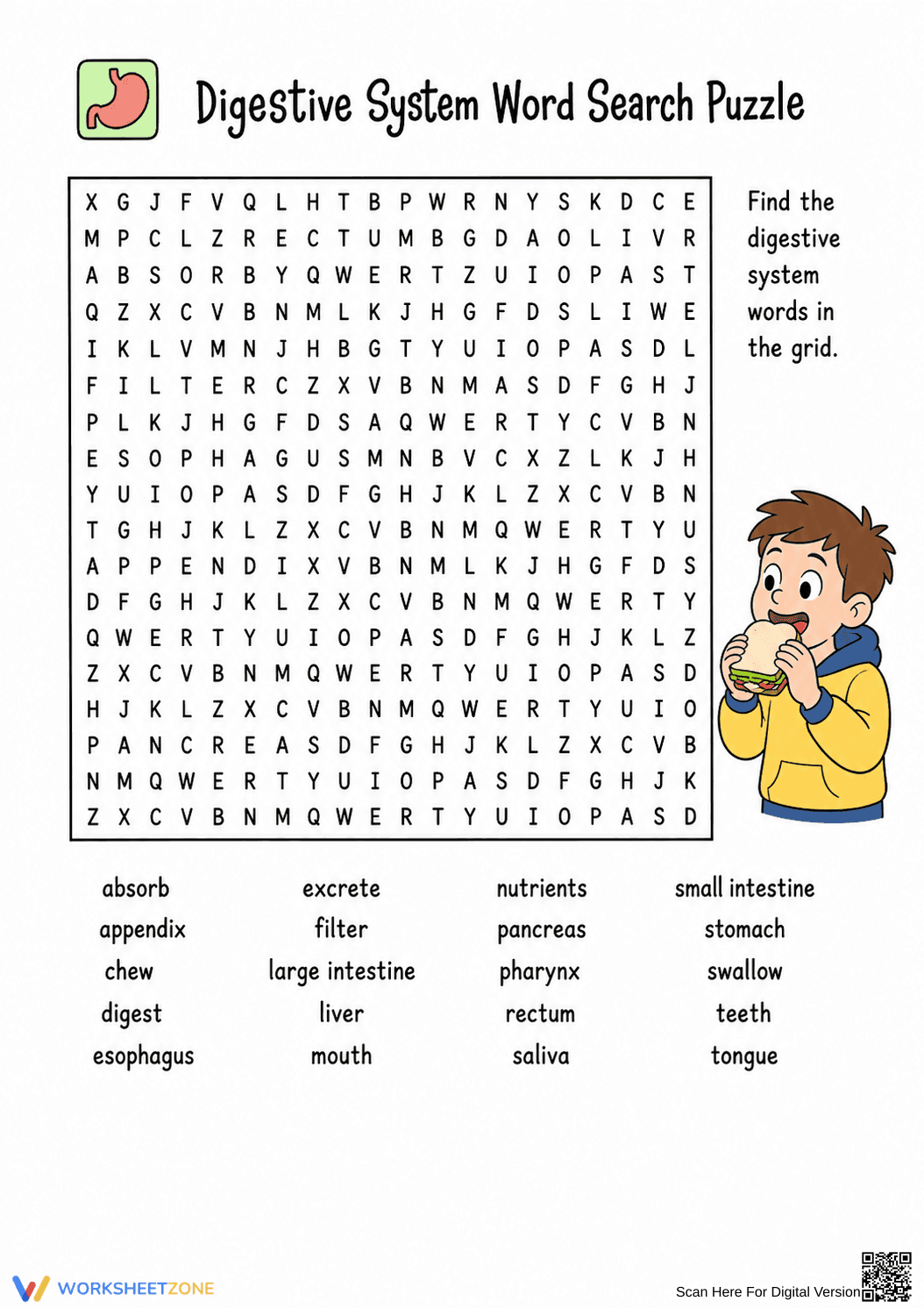 Essential Digestive System Word Search | Grade 7-12 - Page 1