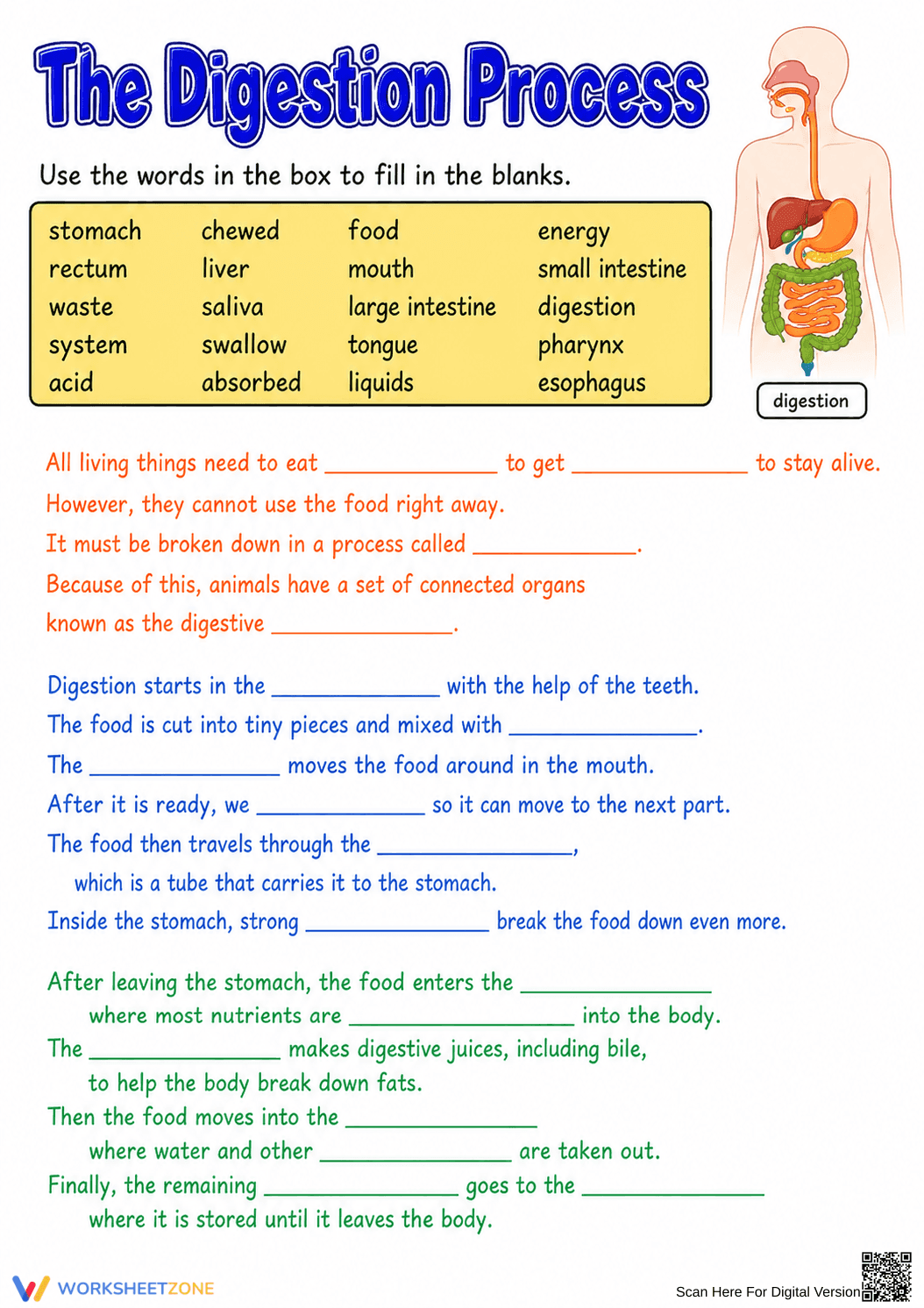 Printable Digestion Process Worksheet | Grade 7 Science - Page 1