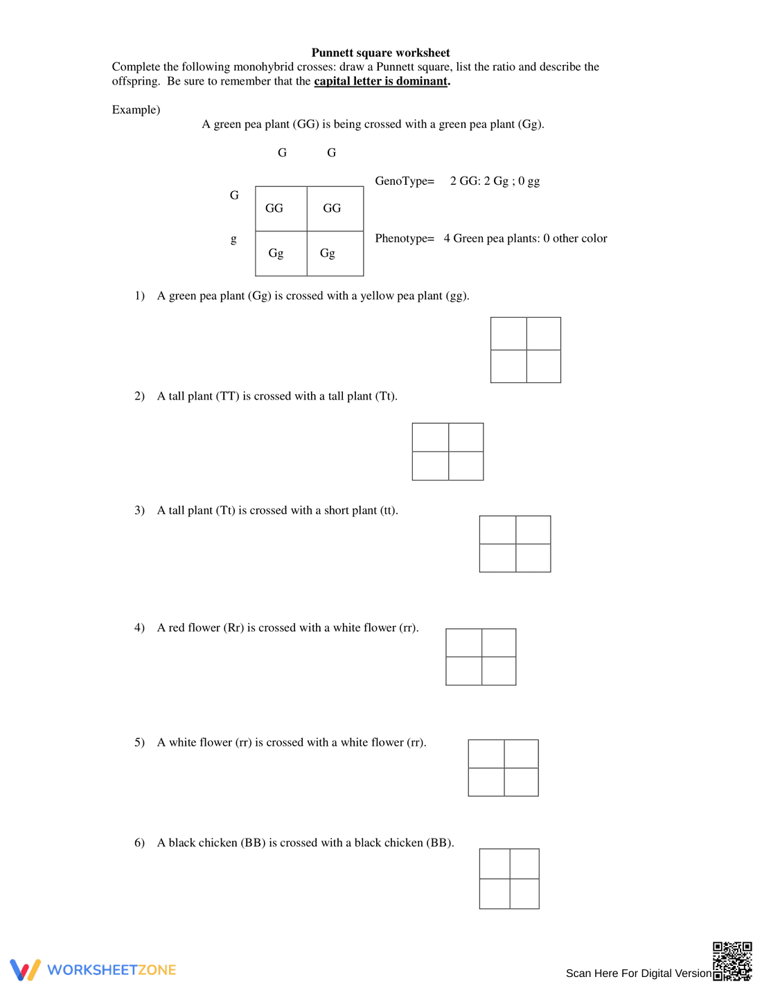Punnett Square Genetics Practice Worksheet - Page 1