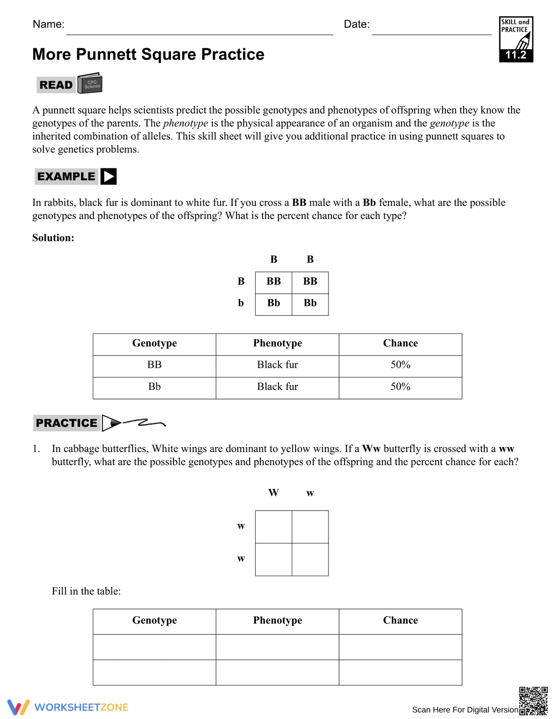 More Punnett Square Practice Problems - Page 1