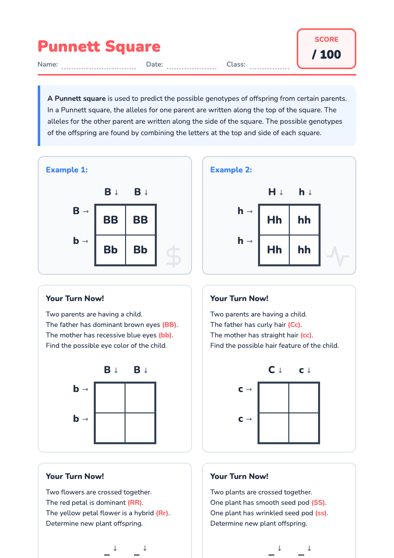 Genetics Practice: Punnett Square 1 - Page 1