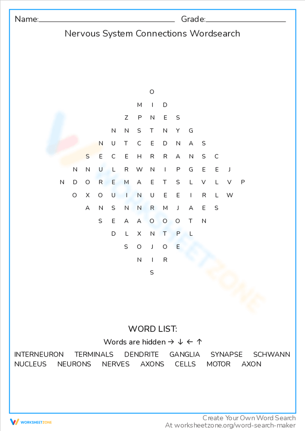 Nervous System Connections Word Search: Key Terms - Page 1