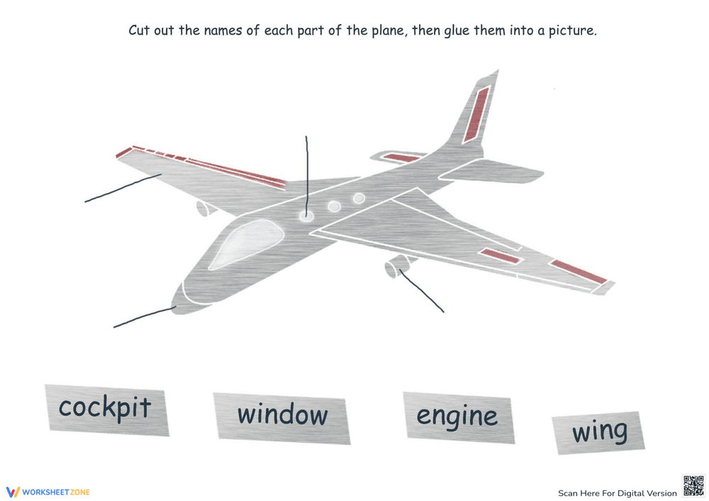 Identifying Parts of a Plane Worksheet - Page 1