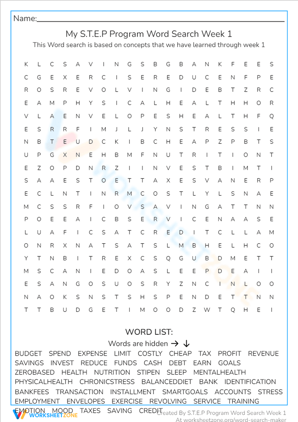 Financial Literacy Word Search - Budget & Money Skills - Page 1