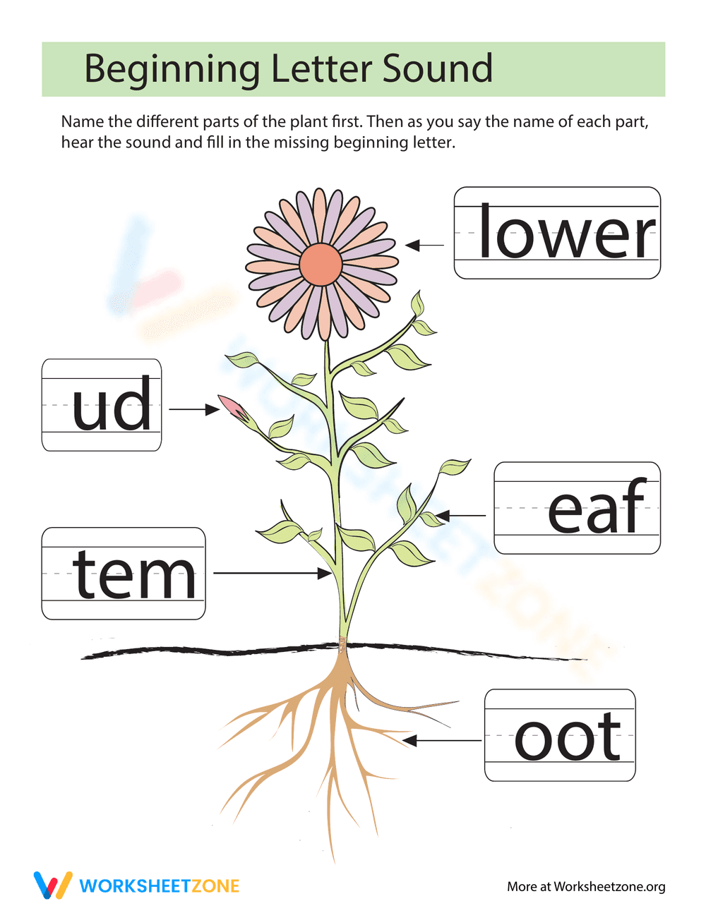 Missing Letters: Parts of a Plant - Page 1