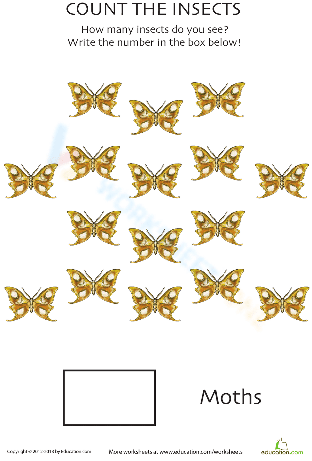 Counting Moths Worksheet - Page 1