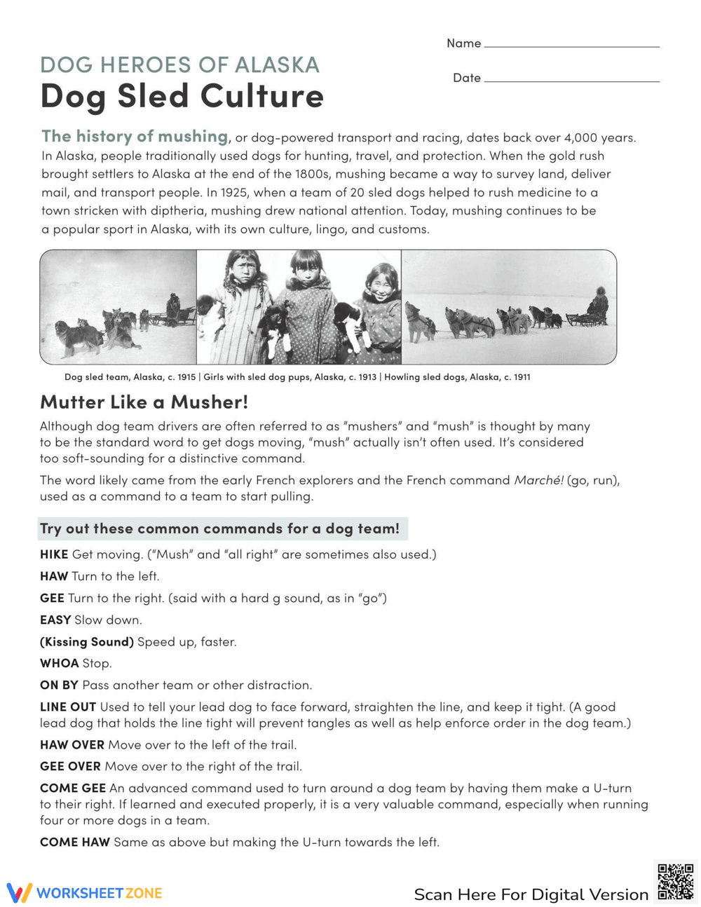 Dog Heroes of Alaska: Reading Worksheet - Page 1