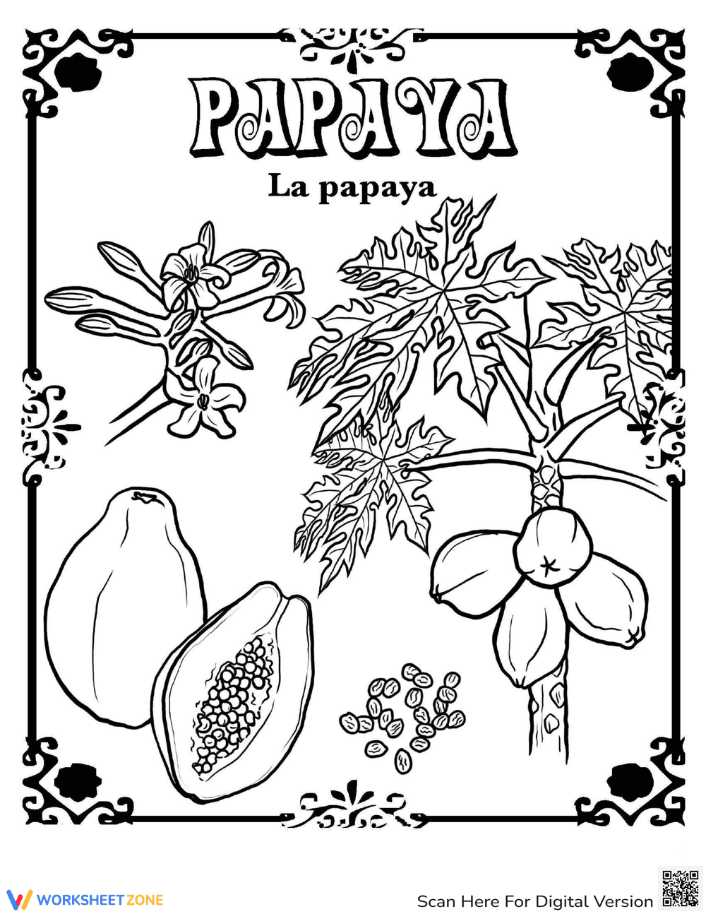 Papaya in Spanish - Page 1